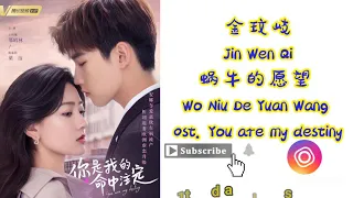 Ost. You Are My Destiny Jin Wen Qi 金玟岐 – 蜗牛的愿望 Wo Niu De Yuan Wang (你是我的命中注定) 歌词 Pinyin Lyrics