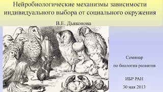 В.Е.Дьяконова. Биологические механизмы влияния социума на поведение индивидуума