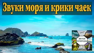 Звуки моря. Крики чаек. Спокойствие и умиротворение. Музыка для сна. 1 час