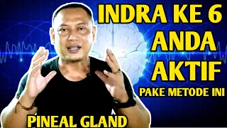 Cara Mengaktifkan Indra Ke 6 | Orgasm3 Kelenjar Pineal (Pineal Gland)