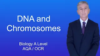 A Level Biology Revision "DNA and Chromosomes"