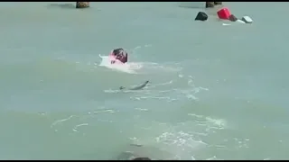Тюлень напал на людей, купавшихся в море в Азербайджане.