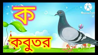 ক তে কবুতর | ক কবুতর | ক খ গ ঘ | ক খ গ ঘ ঙ বাংলা song | অ তে অজগর | অ আ ই ঈ song | অ আ ই #kidssongs