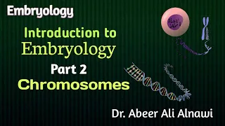 (2) Embryology/Introduction to Embryology -Part 2- Chromosomes/Dr. Abeer Ali Alnawi