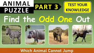 Find the ODD ONE OUT - GK Quiz on Animals: Part 3 | Choose the Odd one Out in this Animal Quiz