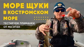 МОРЕ ЩУКИ! АЛЕКСАНДР СУХОВ И АЛЕКСАНДР МАЛИНИН ПРОВЕРЯЮТ ПРИМАНКИ ОТ MAD FISH