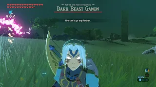 EZ PZ ANCIENT ARROW GLITCH #SHORTS #BOTW