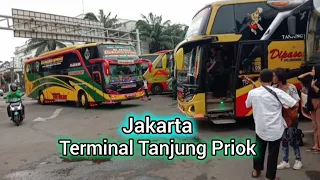 Jalur Terminal Tanjung Priok Luar Kota !! Ada Bus Luragung,Shantika,Garudamas,Po Haryanto, Budiman