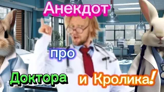 Анекдот про Доктора и Кролика🤣🤣🤣