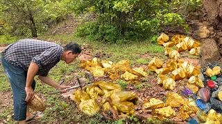 Fantastic! Huge Gold nugget found by a lucky man-Gold Mining-How to find gold