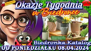 𝐁𝐈𝐄𝐃𝐑𝐎𝐍𝐊𝐀 🐞 Nowa Gazetka Od 08.04.2024 | Okazje tygodnia w Biedronce – Wiosenny Katalog Biedronki