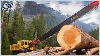 199 Incredible Fastest Big Chainsaw Cutting Tree Machines ▶11