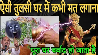 Tulsi puja चाहे मर जाना ऐसी तुलसी कभी घर में मत लगाना पूरा घर नष्ट हो जाता है तुलसी कब और कहां लगाएं