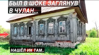 ОНИ БЫЛИ В ЧУЛАНЕ Заброшенного дома.Одинокий голубь сторожит дом в заброшенной деревне Малиновка