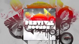 Festival Sounds Vol. 1 (Sylenth1 Soundbank)