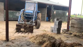 Cleaning Out the Calf Shed