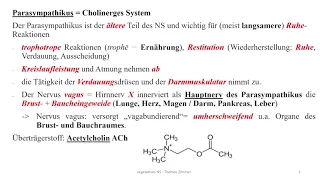 Autonomes Nervensystem 10: Einführung Parasympathikus / Acetylcholin und Rezeptoren / Pharmakologie