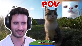 NymN reacts to Cat POV and The Leaf Incident