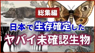 【睡眠用】日本で生存確定したヤバイ未確認生物【ゆっくり解説】