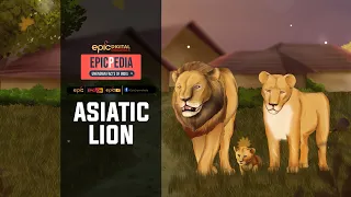 Asiatic Lion | EPICPEDIA - Unknown Facts of India | Episode 7 Promo | Epic Digital Originals