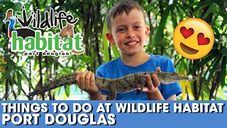 Things to do at Port Douglas Wildlife Habitat