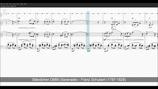 Serenade - Schubert - Level 1 Metronome + Violin Solo + Strings