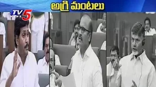 Agrigold Heat In AP Assembly | Telugu News | TV5 News