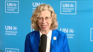 Executive Director UNEP Inger Andersen Q&A   The plastic treaty