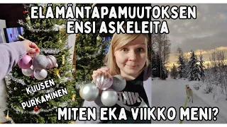 Elämäntapamuutoksen ensiaskeleet : Ekan viikon tunnelmat / Puretaan joulukuusi