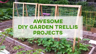 Awesome DIY Garden Trellis Projects