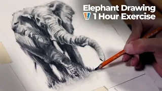 Elephant Drawing with Charcoal - 1 Hour Exercise