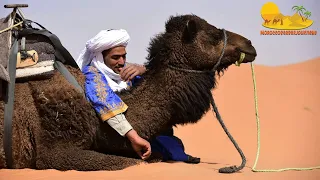 An amazing 2 days Adventure in Merzouga Desert - Morocco Berber Journeys