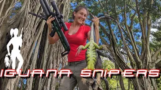 Jessica brings the Green Ghost to come out and play with invasive iguanas