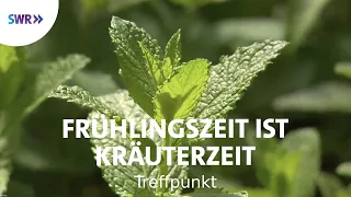 Frühlingszeit ist Kräuterzeit | SWR Treffpunkt