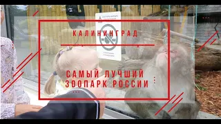 Самый лучший зоопарк России