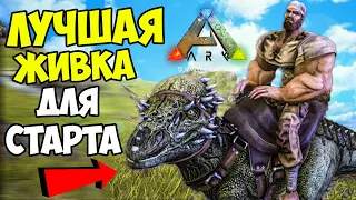 ARK -  ЛУЧШАЯ ЖИВКА ДЛЯ СТАРТА! Бомжевыживание в АРК от АРКЕРА ПРОФЕССИОНАЛЬНОГО! Пахицефалозавр