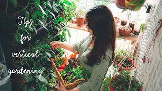 Sub) 4 Gardening Tips for Beginner | My first harvest in the small Vertical Garden on the Balcony