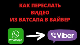 Как переслать видео с ватсапа на вайбер