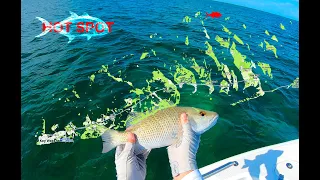 1 - Back country, Lower Keys, Florida