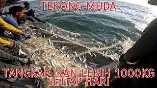 Beginilah cara menangkap ikan lebih 1000 KG setiap hari. Tekong muda. Fenomena ikan 3 kilo RM10.00.