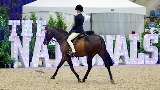 ✨The Nationals 2023 ✨ | A week to remember | equestrianemmy