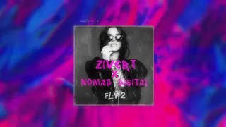 Zivert x NoMad Digital - Fly 2