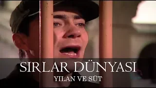 Sırlar Dünyası - YILAN VE SÜT