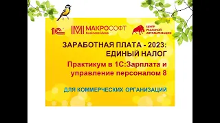 ЗАРАБОТНАЯ ПЛАТА - 2023: ЕДИНЫЙ НАЛОГОВЫЙ ПЛАТЕЖ - Мастер класс для коммерческих организаций.