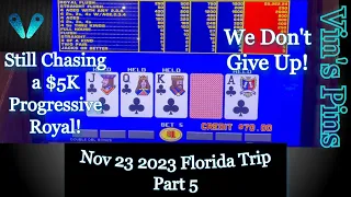 We Don't Give Up! Still Chasing A Royal!(Times In Tampa!)(Video Poker)(11/23/2023 Florida)(S36:P5)