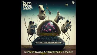 Burn in Noise Vs Shivatree - Dream