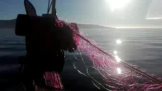 Pesca de trasmallo con halador de pesca EPI 325 D