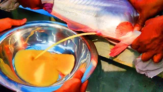 How to produce baby pangasius fish from Egg || step by step Guides