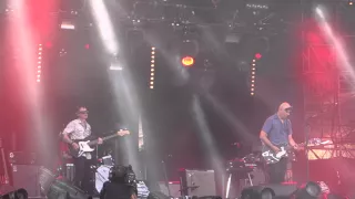 Dominique A - Le Courage Des Oiseaux (Live @ Musilac 2015)