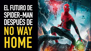 El futuro de Spider-Man después de No Way Home